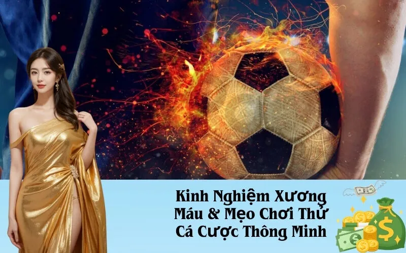 Kinh Nghiệm Xương Máu & Mẹo Chơi Thử Cá Cược Thông Minh